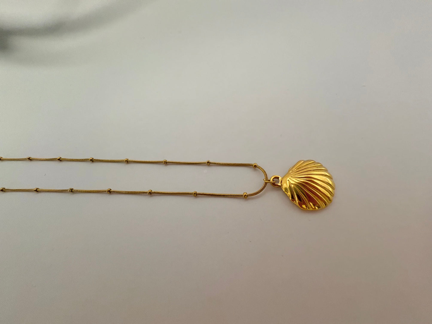 Cadena de Concha