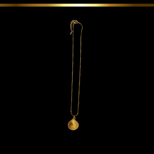 Cadena de Concha