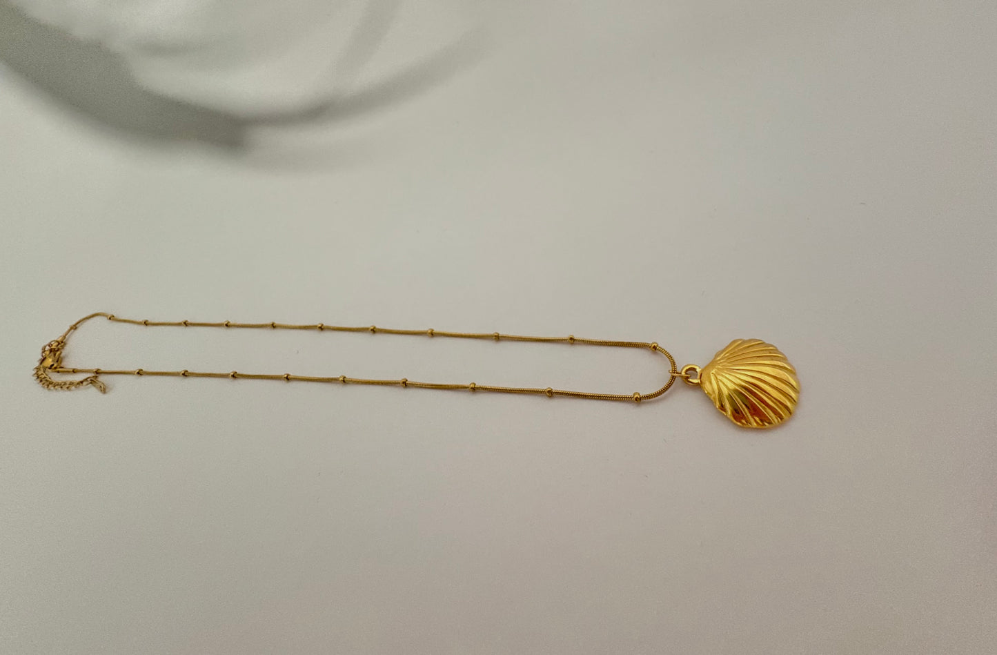 Cadena de Concha
