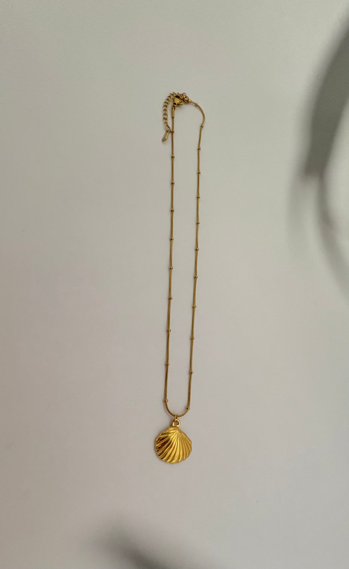 Cadena de Concha